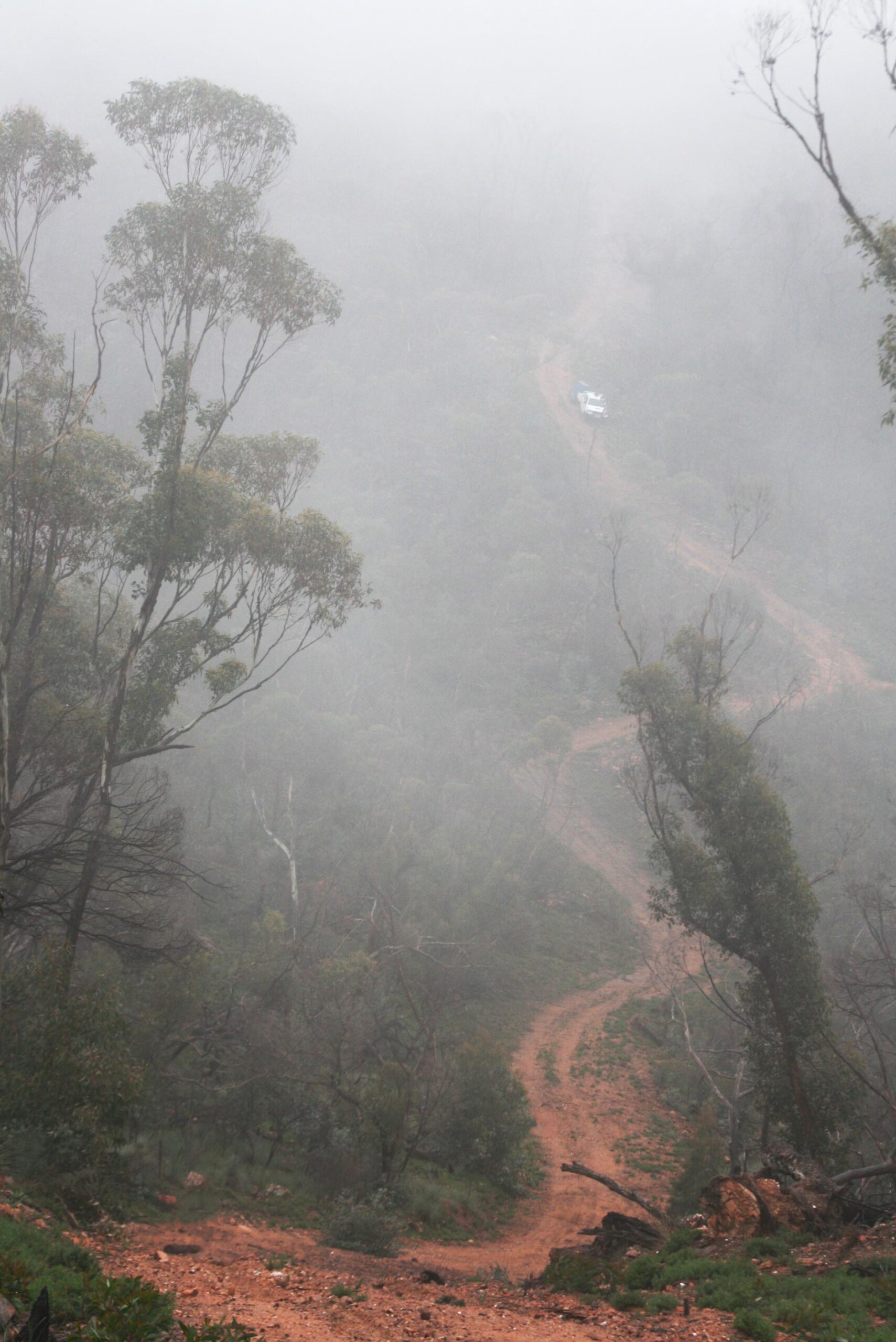 Heysen Trail returns to Wirrabara Forest