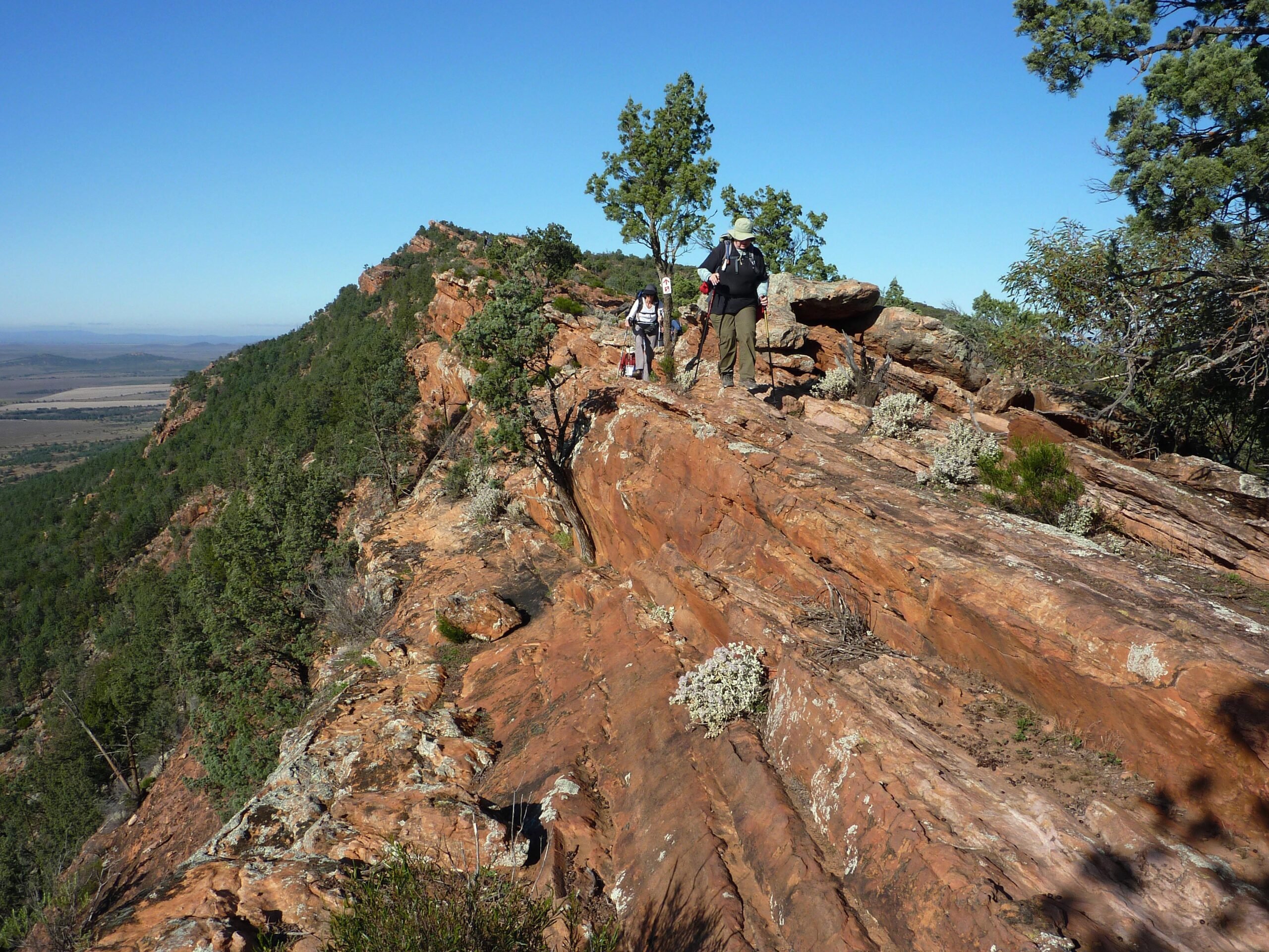 Survey on the Best Walks of South Australia