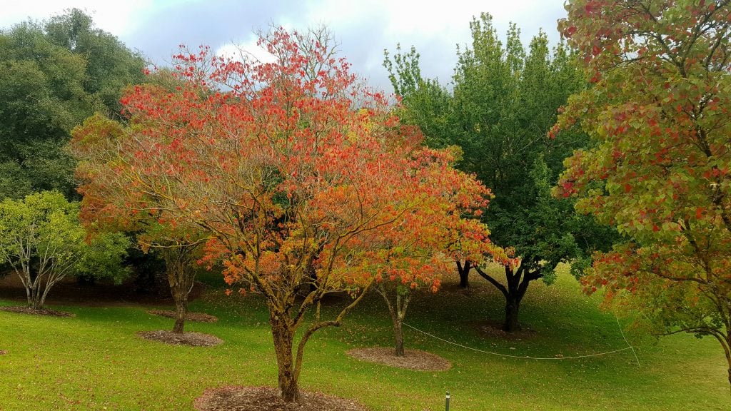 CANCELLED: Bridgewater to Mt Lofty