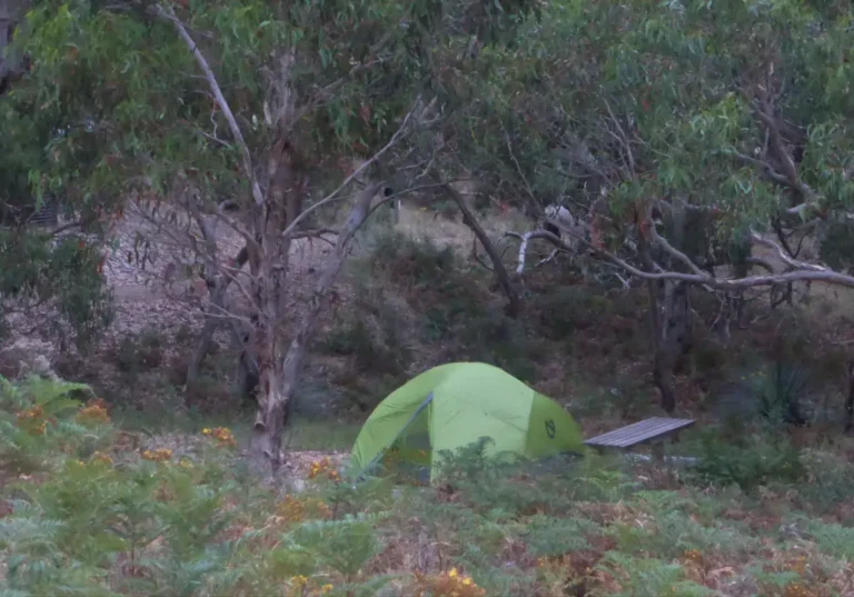 A tent platform